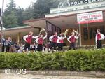 Mezinárodní folklorní festival Písní a tancem