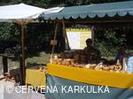 Sousedské slavnosti 2008