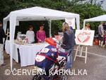 Království perníku 2009