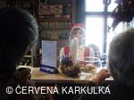 Velikonoce v Perníkové chaloupce 2010