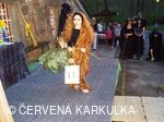 Soutěž čarodějnic 2010